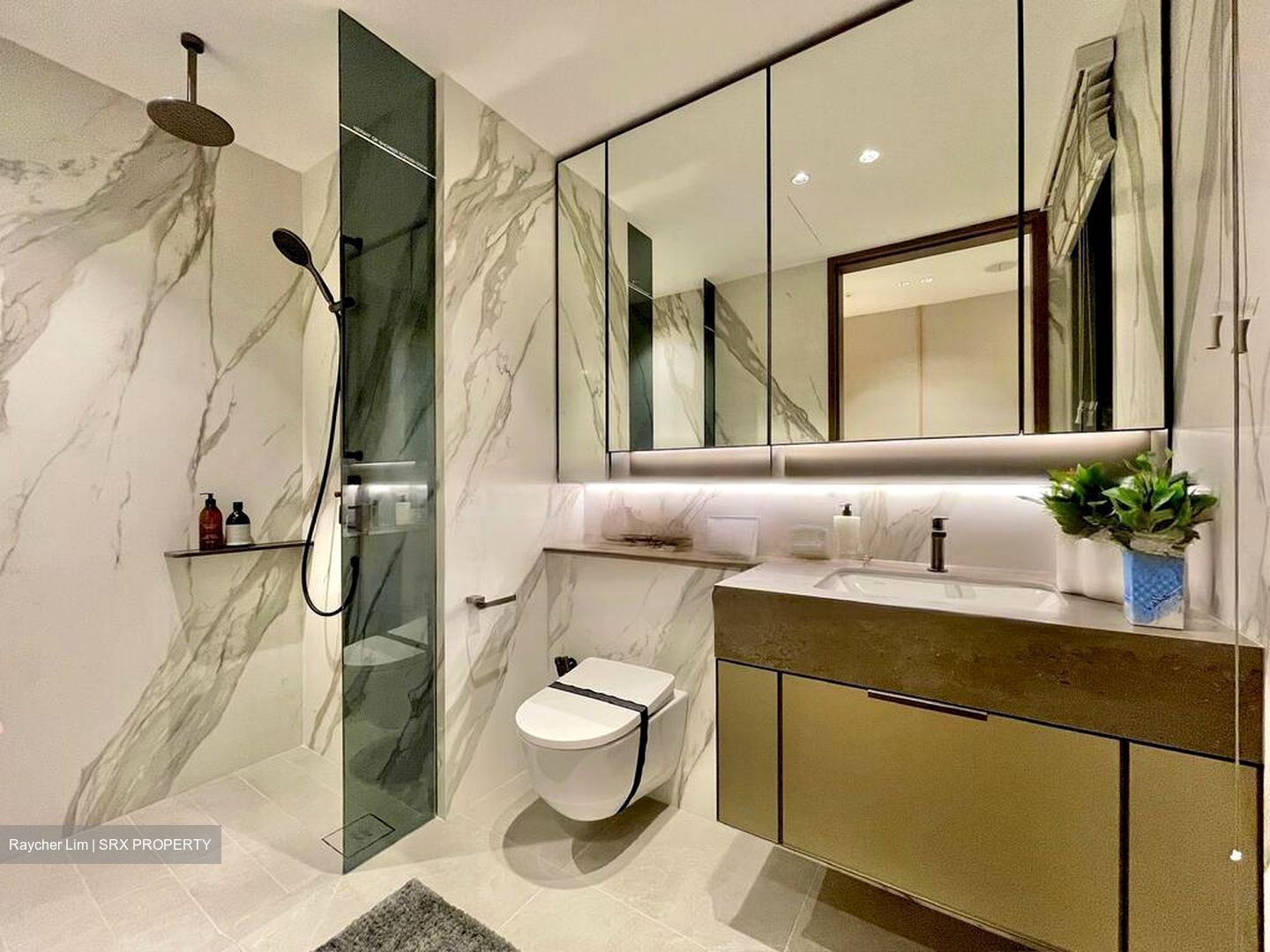 Zion Road (D3), Condominium #471682171